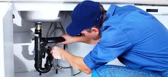 Best Garbage Disposal Repair and Installation  in Salem, MO